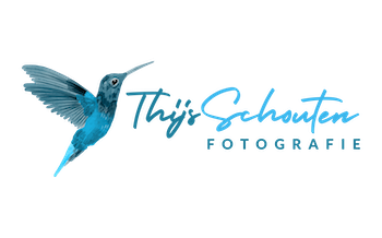 tsf-logo-klein